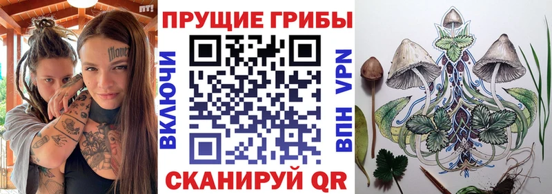 Галлюциногенные грибы мицелий  Рудня 
